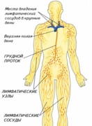 патология лимфатической системы